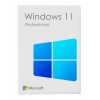 Microsoft Windows 11 Professional 