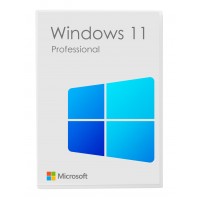 Microsoft Windows 11 Professional 