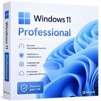 Microsoft Windows 11 Professional 