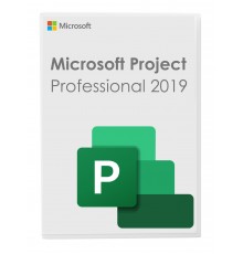 Microsoft Project 2019 Professional