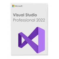 Visual Studio Professional 2022